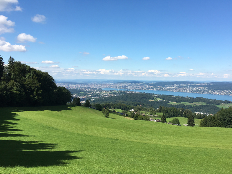 Sicht auf Zürich auf dem Weg vom Albispass zur Hochwacht