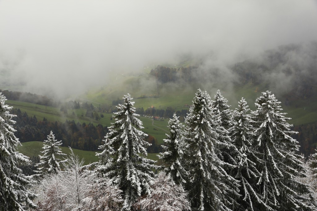 Der erste Schnee