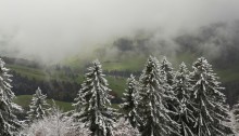 Der erste Schnee