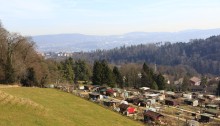 Richtung Leimbach und Stadt Zürich