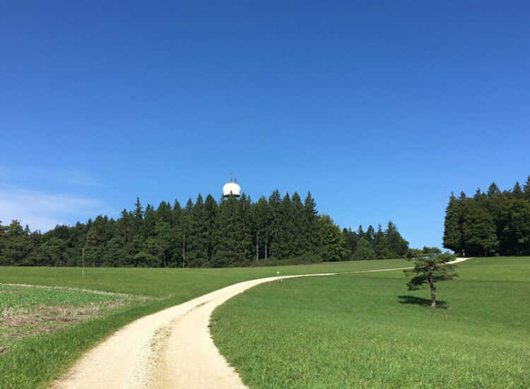 Schon von weitem erblickt man den Hagenturm über den Baumwipfeln