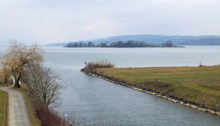 Blick auf die Ufenau