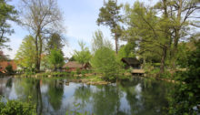 Der Stadtweiher von Bülach