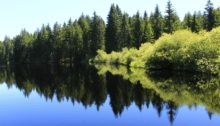 Viel Grün und Blau fürs Auge: der Etang de Gruère im Jura