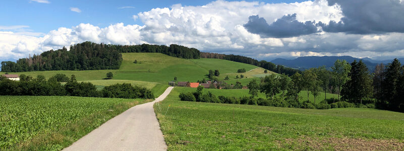 Der Hinteralbis