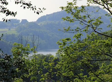 Bild_13