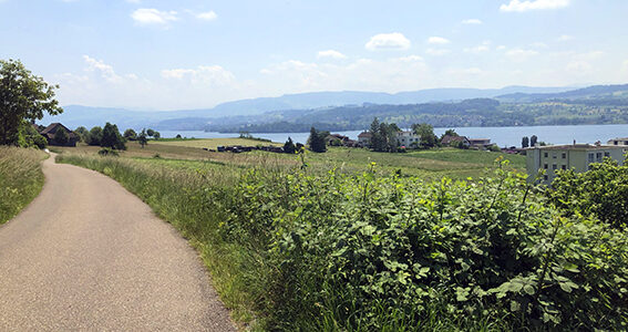 Schöne Routenführung oberhalb des Zürichsees