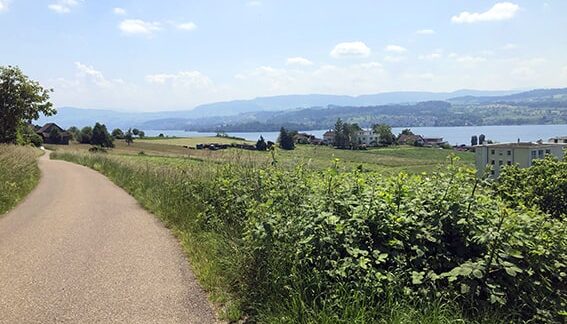 Schöne Routenführung oberhalb des Zürichsees