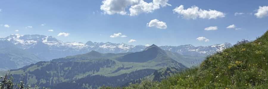 Panorama