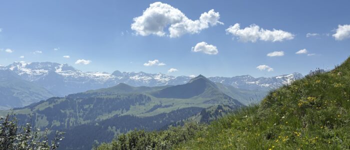 Panorama